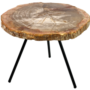 adesign-decoration-table-basse-bois-petrifie-monet