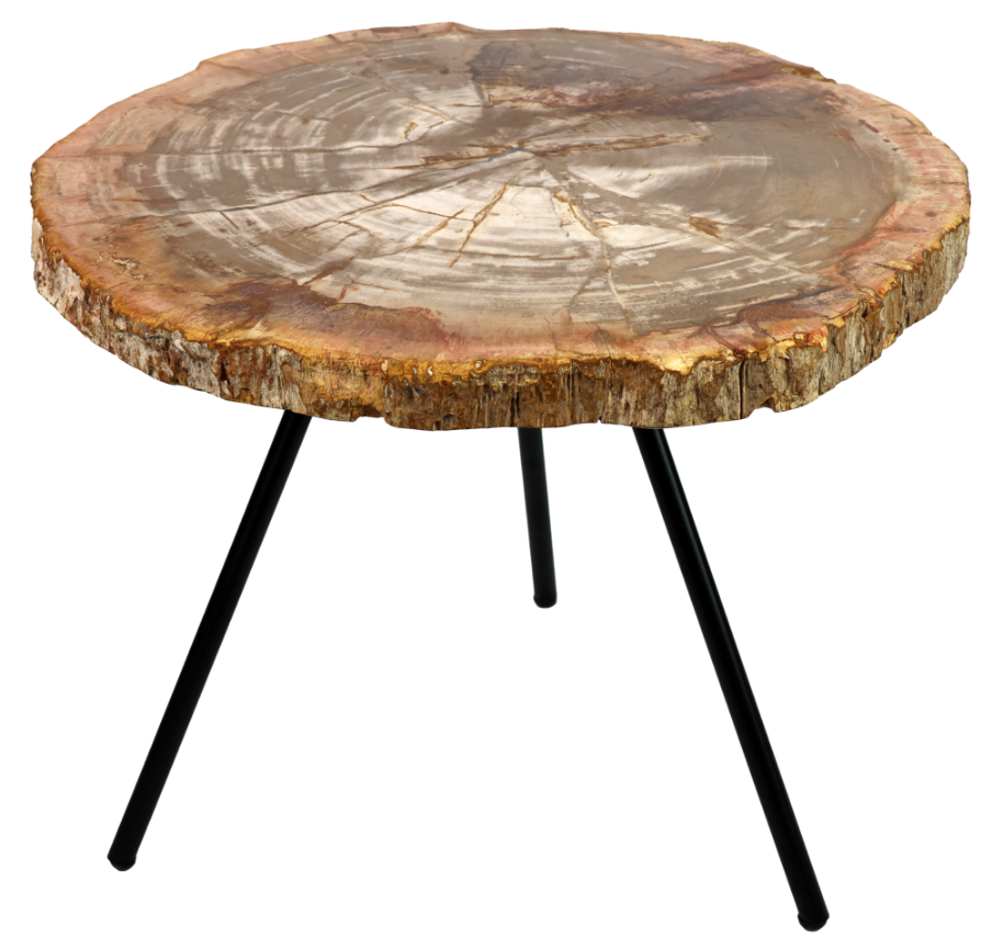 adesign-decoration-table-basse-bois-petrifie-monet