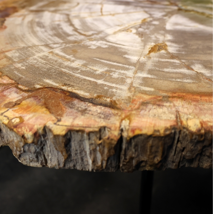 Monet table basse en bois pétrifié.